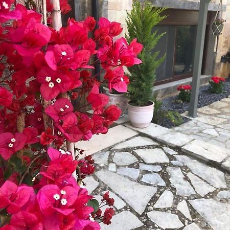 Paradise Apartments Nefeli Kalamata Dış mekan fotoğraf
