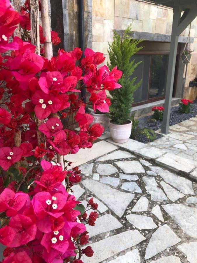 Paradise Apartments Nefeli Kalamata Dış mekan fotoğraf